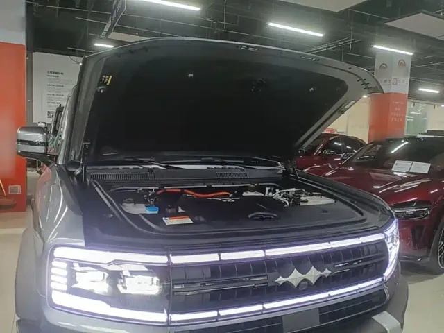 BYD FangChengBao Leopard 5 — Фото автомобиля 19