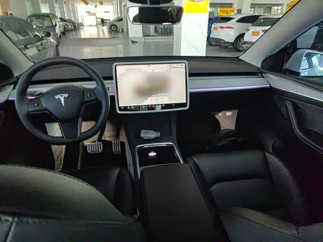 Tesla Model Y — Фото автомобиля 9