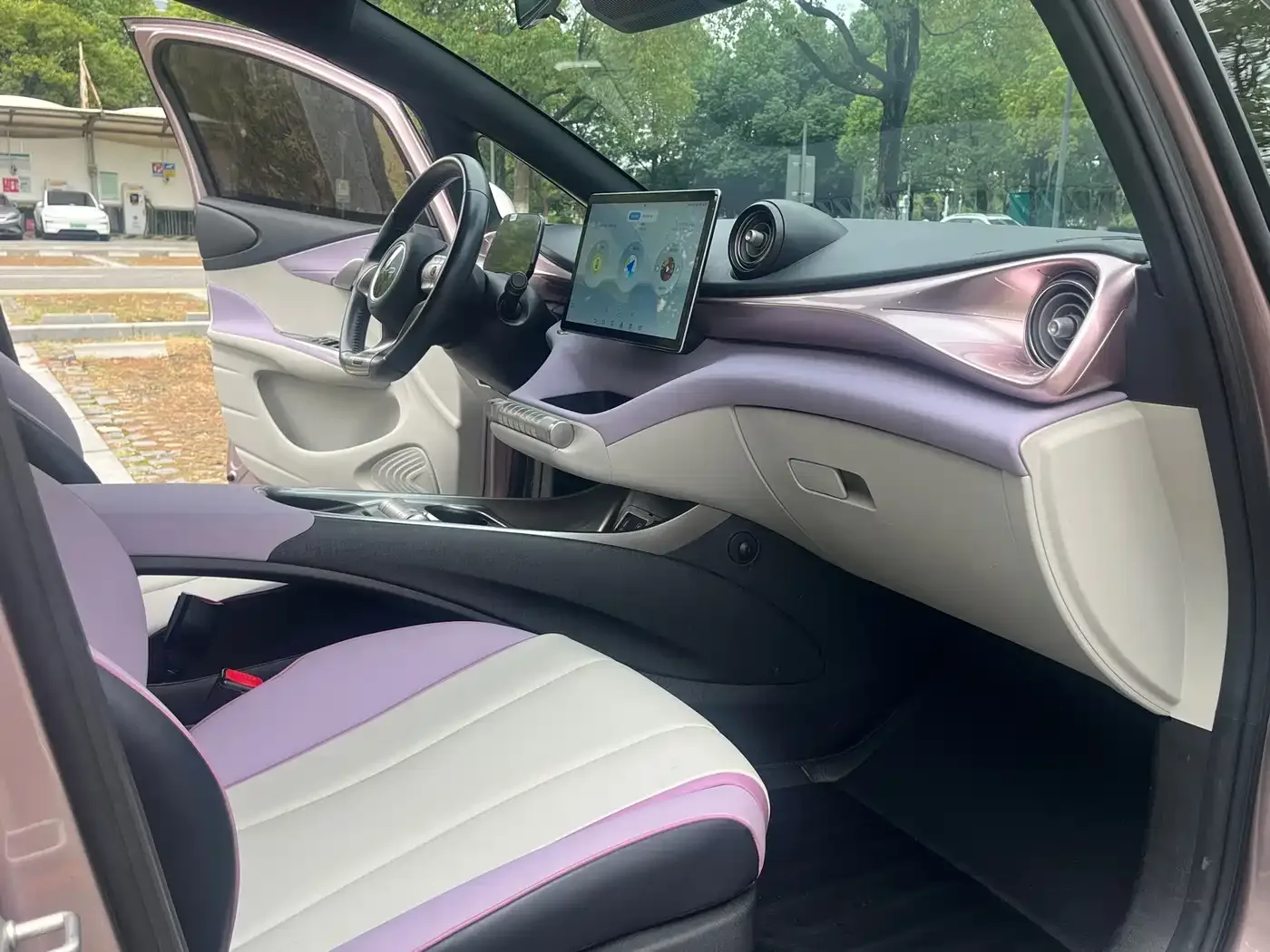 BYD Dolphin 2021 401km Knight Edition — Фото автомобиля 9