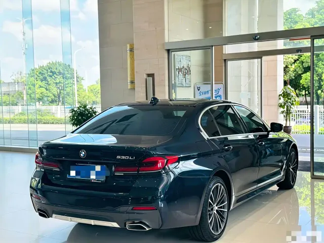BMW 5 Series — Фото автомобиля 8