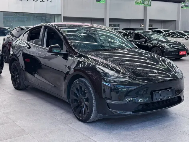 Tesla Model Y — Фото автомобиля 3