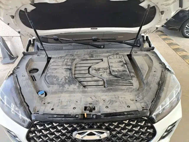 Chery Tiggo 7 — Фото автомобиля 19