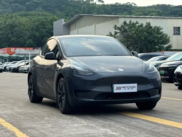 Tesla Model Y — Фото автомобиля 3