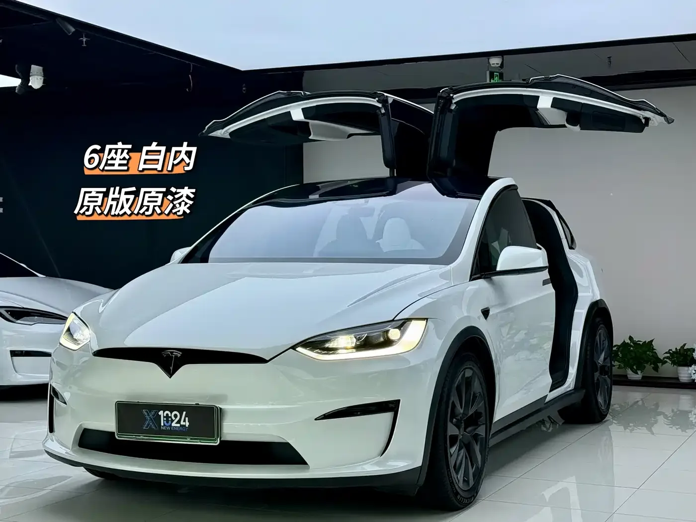 Фотография автомобиля — Tesla Model X