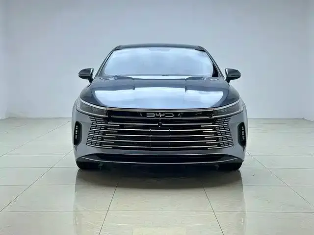 BYD Destroyer 05 — Фото автомобиля 2