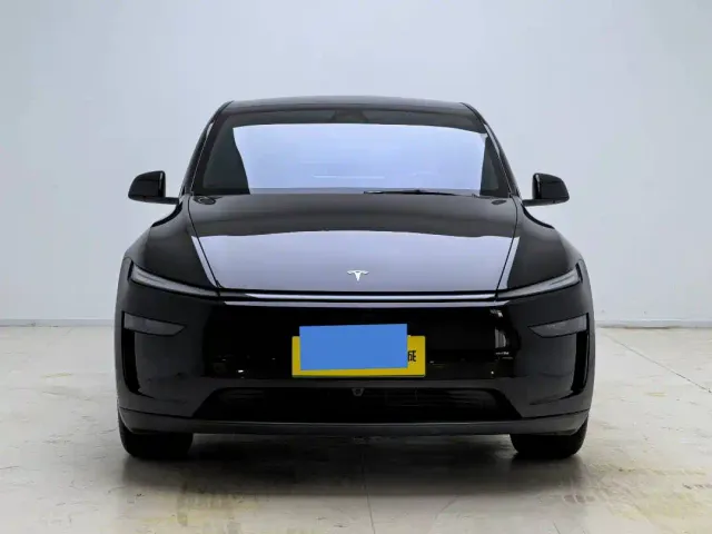 Tesla Model Y — Фото автомобиля 2