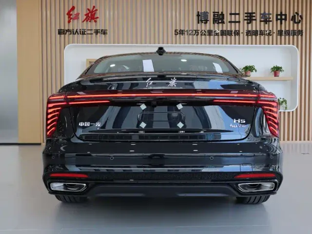Hongqi Hongqi H5 2025 2.0T Automatic Mystic Shadow 2 Million Edition — Фото автомобиля 4