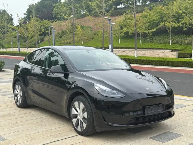 Tesla Model Y — Фото автомобиля 3