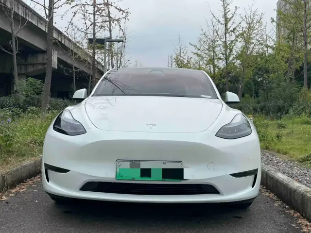 Tesla Model Y — Фото автомобиля 2
