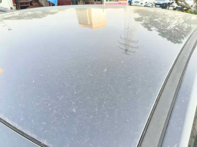 Hongqi Hongqi E-QM5 2024 500km Travel Edition — Фото автомобиля 5