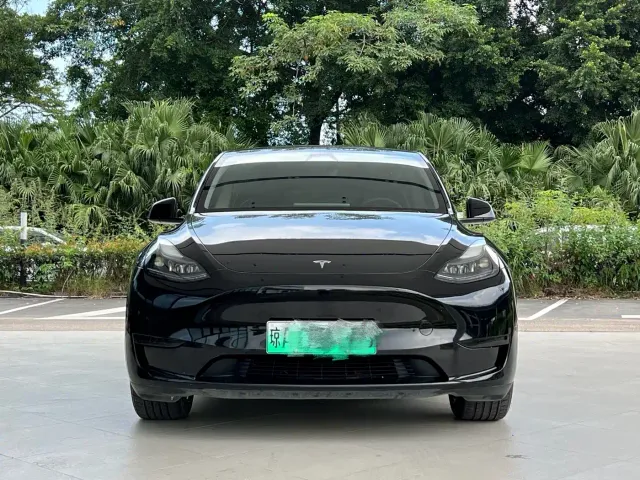 Tesla Model Y — Фото автомобиля 2