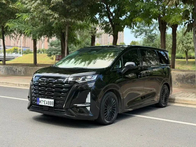 Denza D9 — Фото автомобиля 6