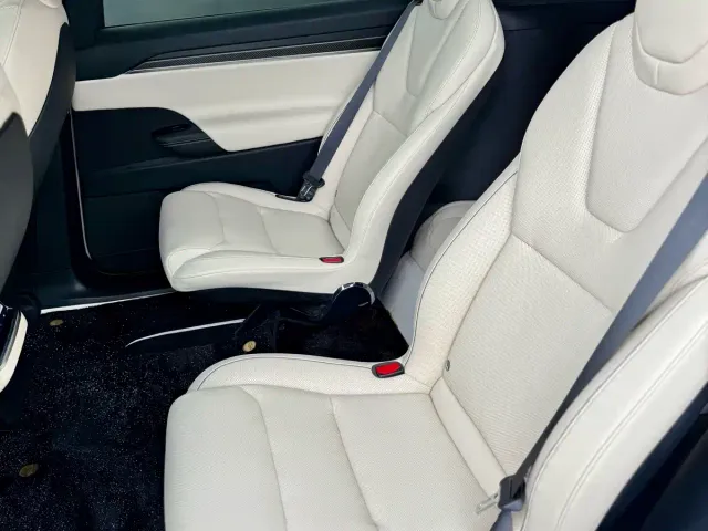 Tesla Model X — Фото автомобиля 14