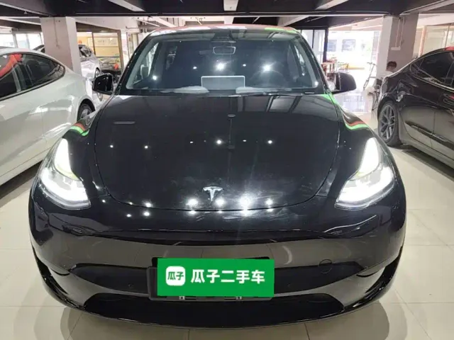 Tesla Model Y — Фото автомобиля 2