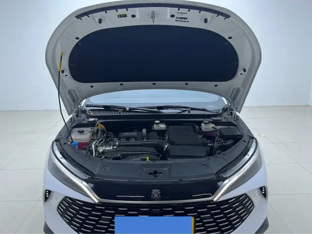 BYD Qin L — Фото автомобиля 6