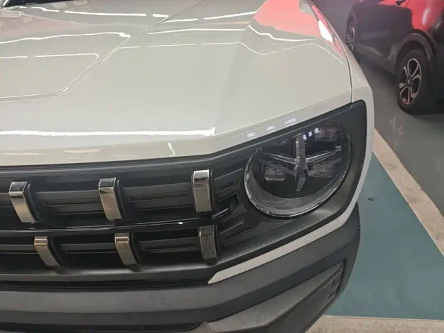 Haval Cool Dog — Фото автомобиля 23