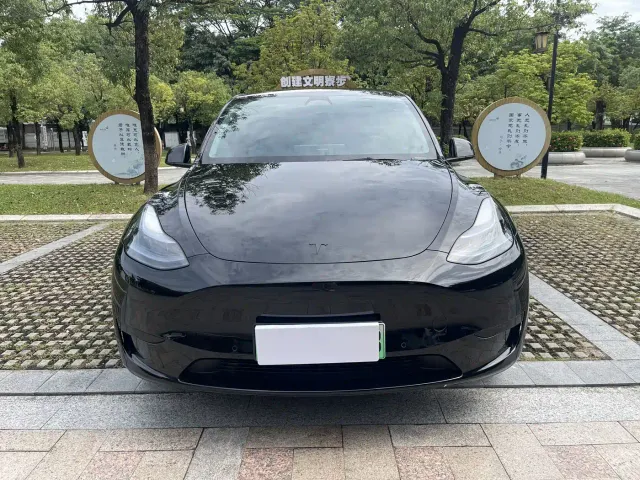 Tesla Model Y — Фото автомобиля 2