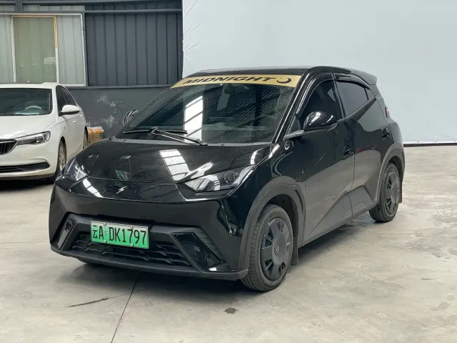 Фотография автомобиля — BYD Seagull
