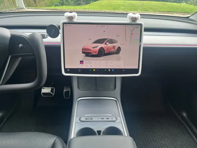Tesla Model Y — Фото автомобиля 16