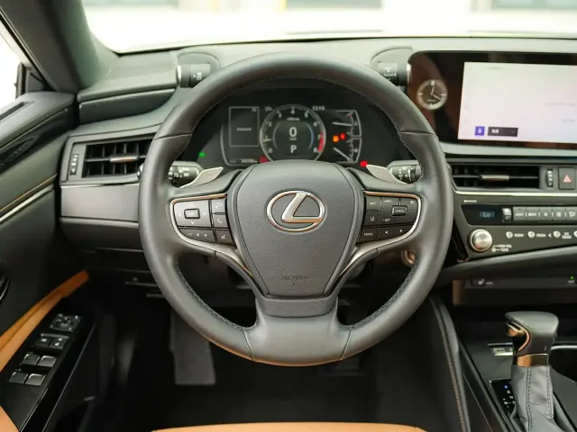 Lexus Lexus ES 2022 200 Excellence Edition — Фото автомобиля 19