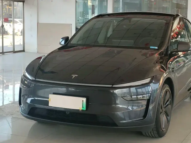 Tesla Model Y — Фото автомобиля 9