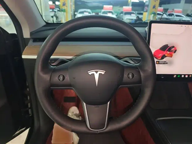 Tesla Model Y — Фото автомобиля 10