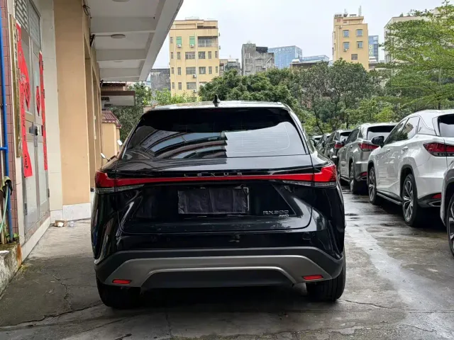 Lexus RX — Фото автомобиля 8