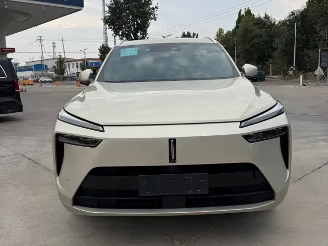 Wey Lanshan — Фото автомобиля 2