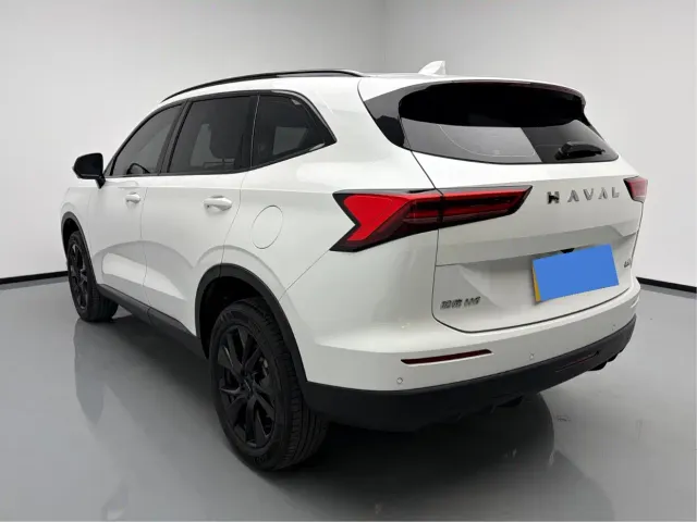 Haval H6 — Фото автомобиля 4