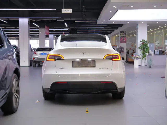 Tesla Model Y — Фото автомобиля 7