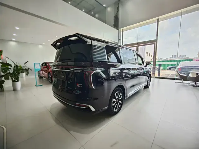 Hongqi HQ9 — Фото автомобиля 23