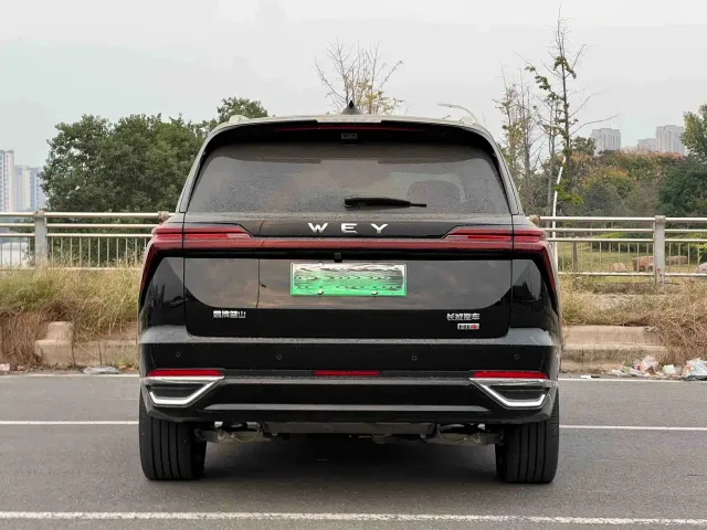 Wey Lanshan — Фото автомобиля 9