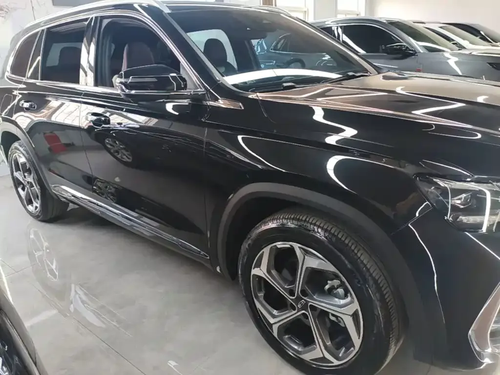 Geely Xingyue L 2024 Model 2.0TD High-Power Automatic 2WD Cloudrise Edition — Фото автомобиля 20