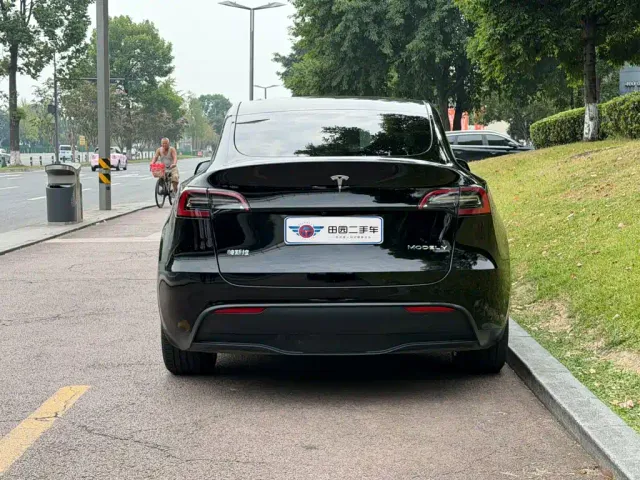 Tesla Model Y — Фото автомобиля 5
