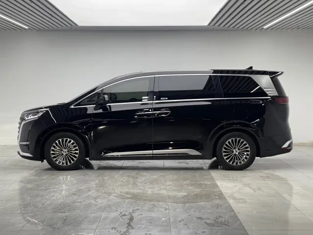 Denza Denza D9 2024 DM-i 1050 Premium — Фото автомобиля 7