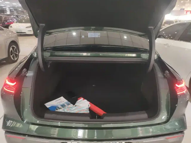 Geely Galaxy Xingyao 8 — Фото автомобиля 14