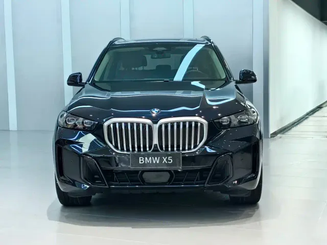 BMW X5 — Фото автомобиля 2