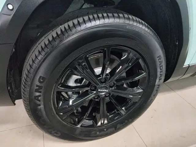 Haval Raptor — Фото автомобиля 22