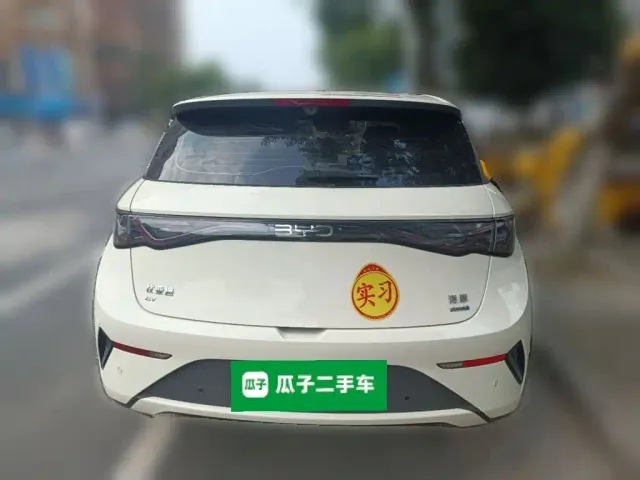 BYD Dolphin — Фото автомобиля 5