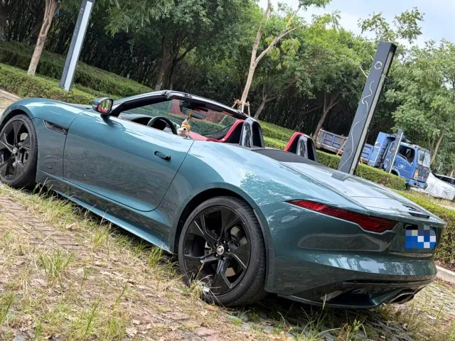 Jaguar F-Type — Фото автомобиля 12