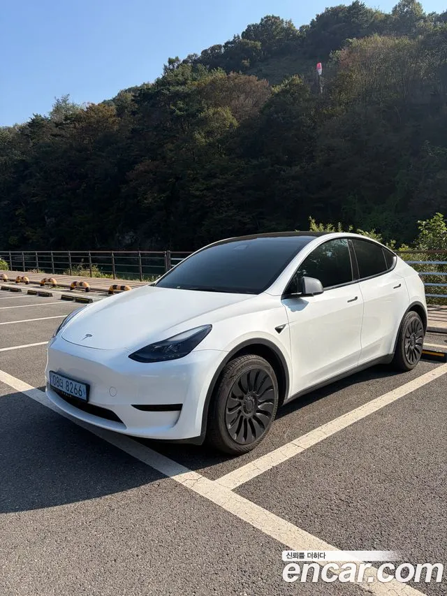 Tesla Model Y — Фото автомобиля 5