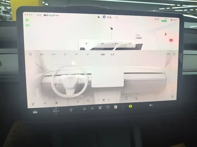 Tesla Model Y — Фото автомобиля 12