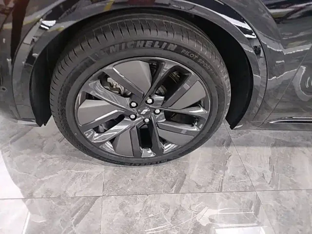 Li Auto L9 — Фото автомобиля 22