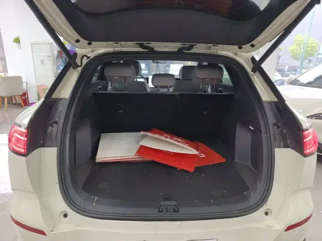 BYD Sealion 06 — Фото автомобиля 18