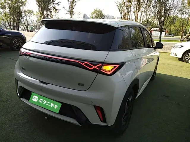 BYD Dolphin — Фото автомобиля 6
