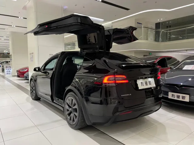 Tesla Model X — Фото автомобиля 5