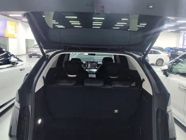 Xpeng X9 — Фото автомобиля 18