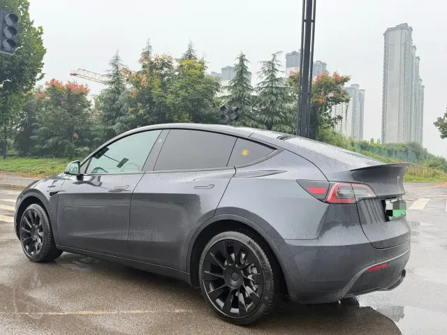 Tesla Model Y — Фото автомобиля 9