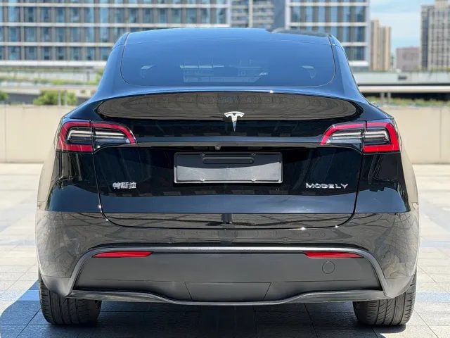 Tesla Model Y — Фото автомобиля 4