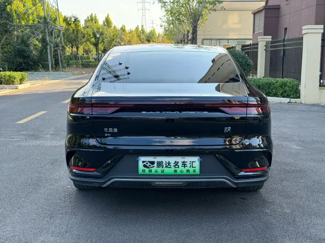 BYD Han — Фото автомобиля 8